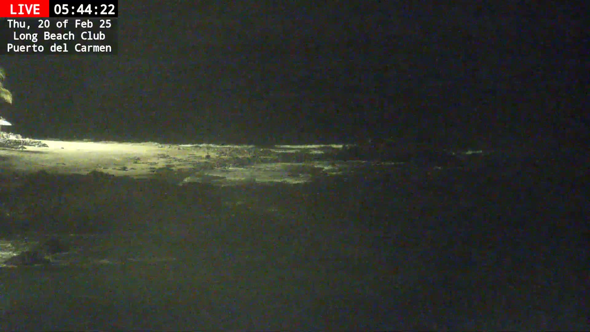 A nighttime view of a dark beach with faintly illuminated sand and a dark ocean under a clear sky.
