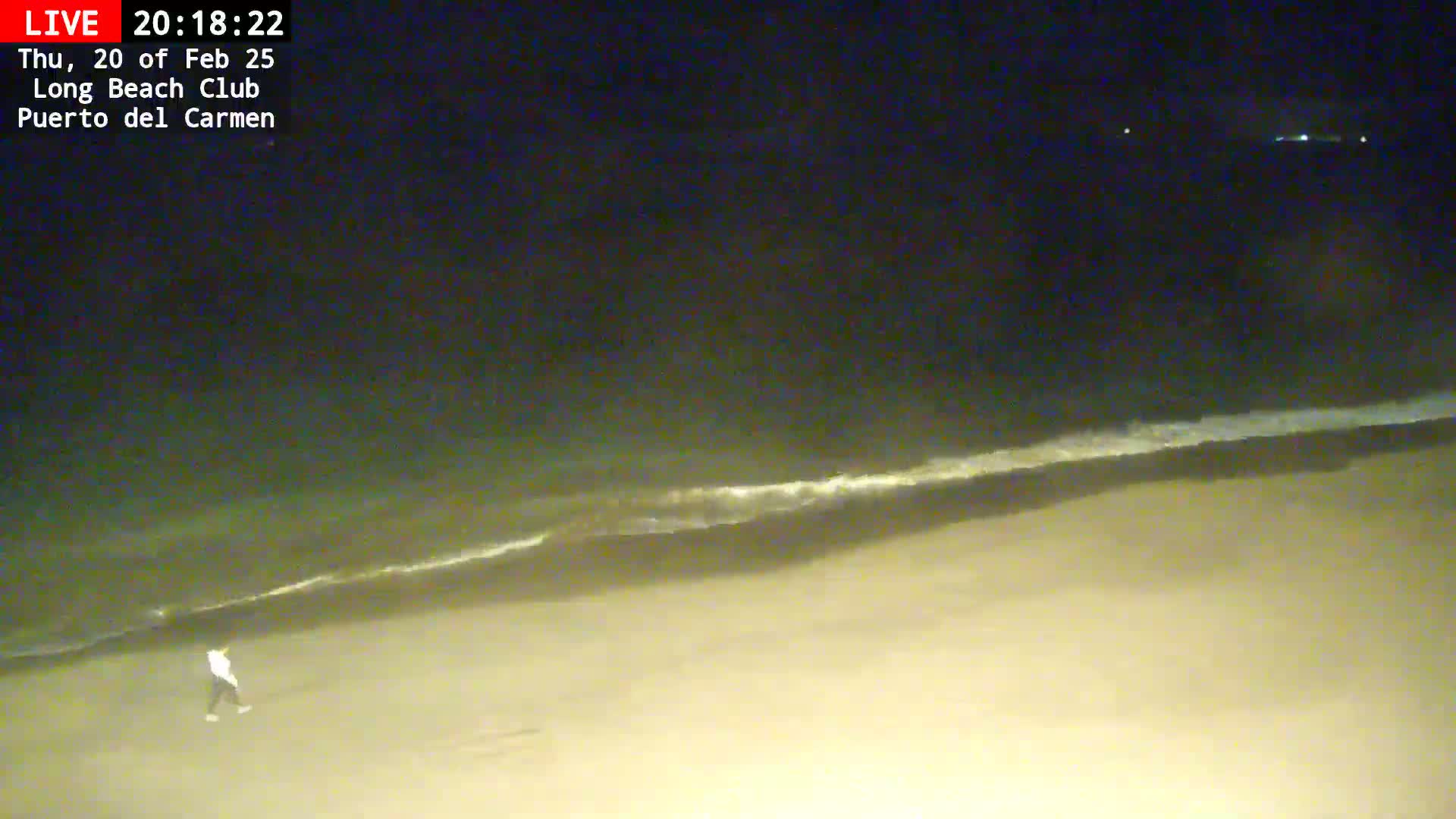 A person walks on a sandy beach at night as gentle waves roll in under a dark sky.