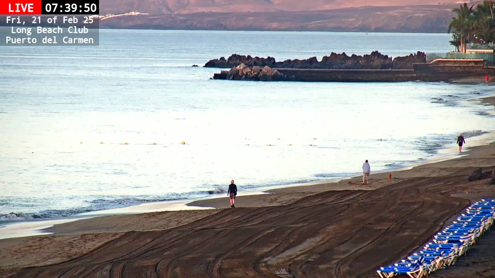 A calm, light-colored ocean laps a dark sand beach where several people stroll, and rows of empty blue lounge chairs line the shore under a clear sky.