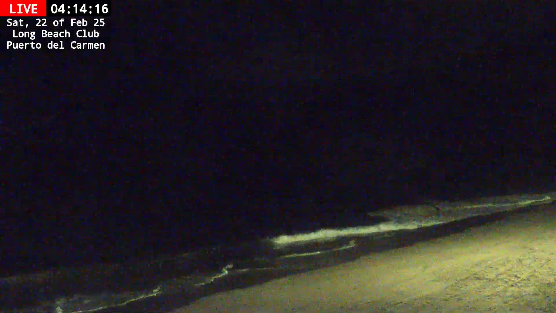 A dark beach at night shows gently lapping waves under a clear, starless sky.