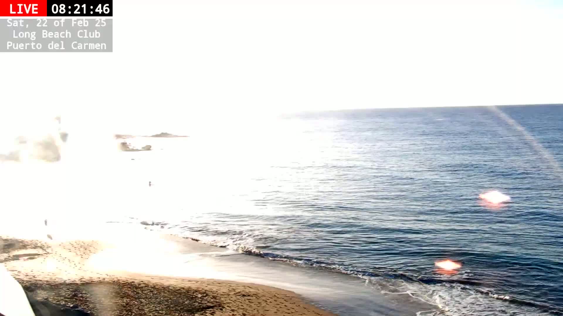 A sandy beach meets a calm ocean under a bright, sunny sky.