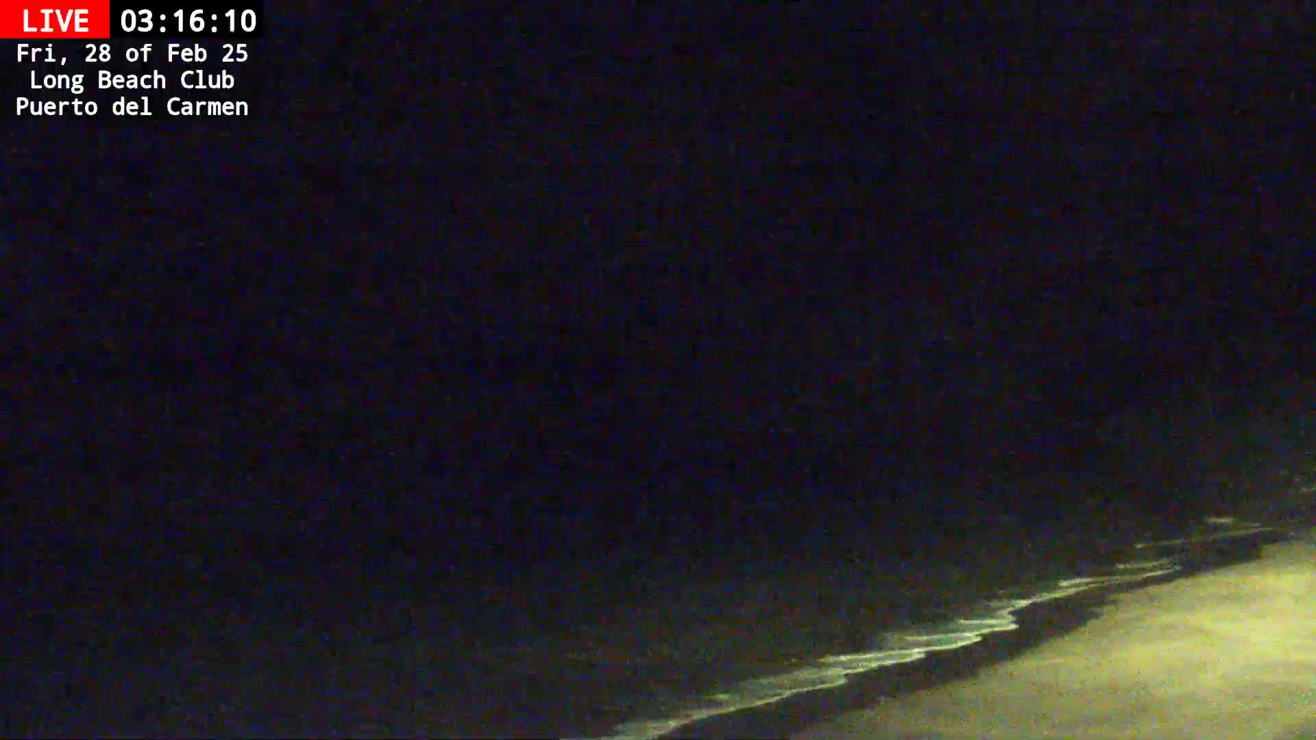 A dark nighttime beach scene shows gently lapping waves on a sandy shore under a clear, black sky.