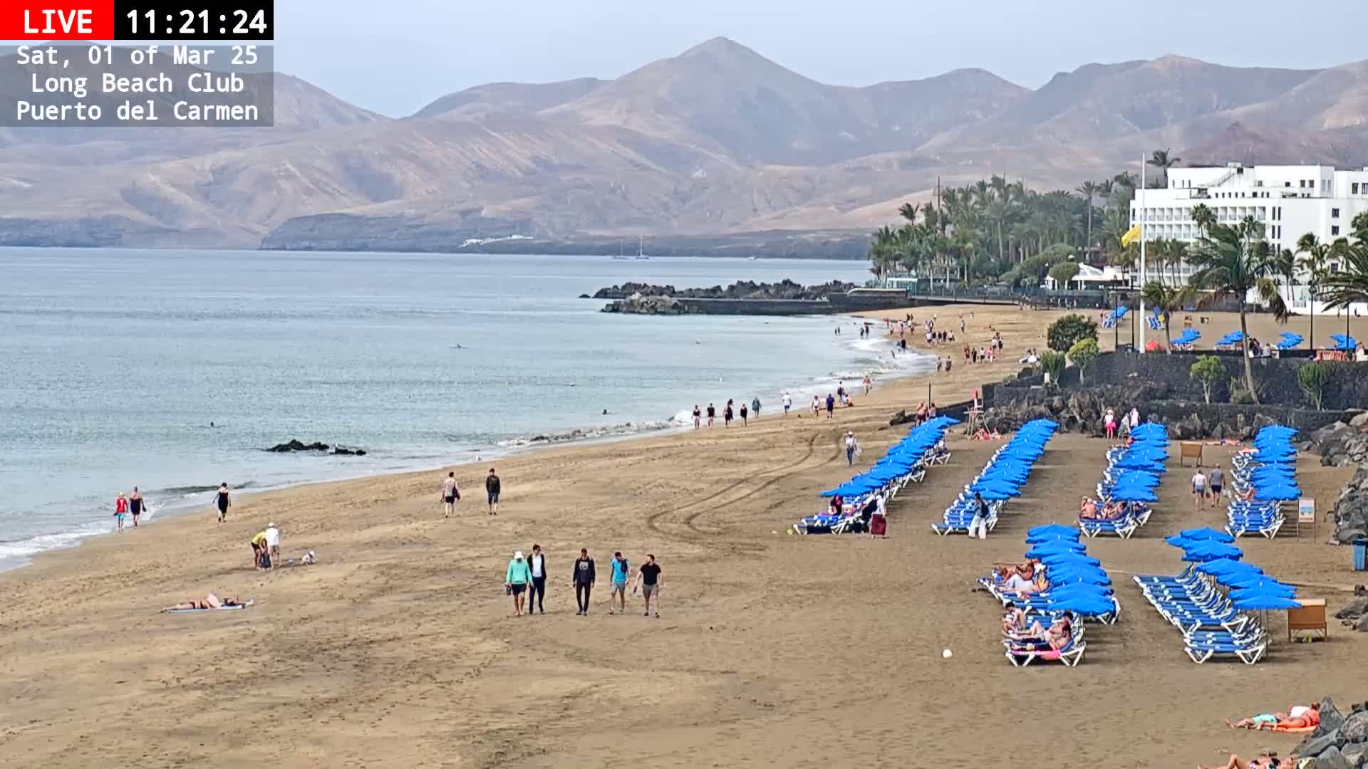 A sandy beach with numerous blue umbrellas and lounge chairs, many people walking and sunbathing, overlooks a calm ocean and a mountainous landscape under a mostly clear sky.
