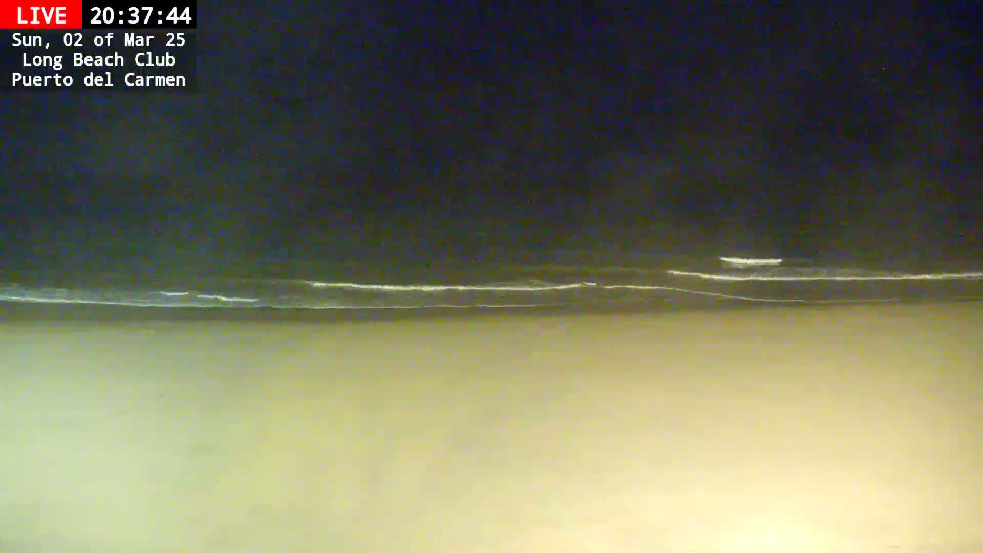 A dark, nighttime beach scene shows gently lapping waves on a sandy shore under a clear, dark sky.