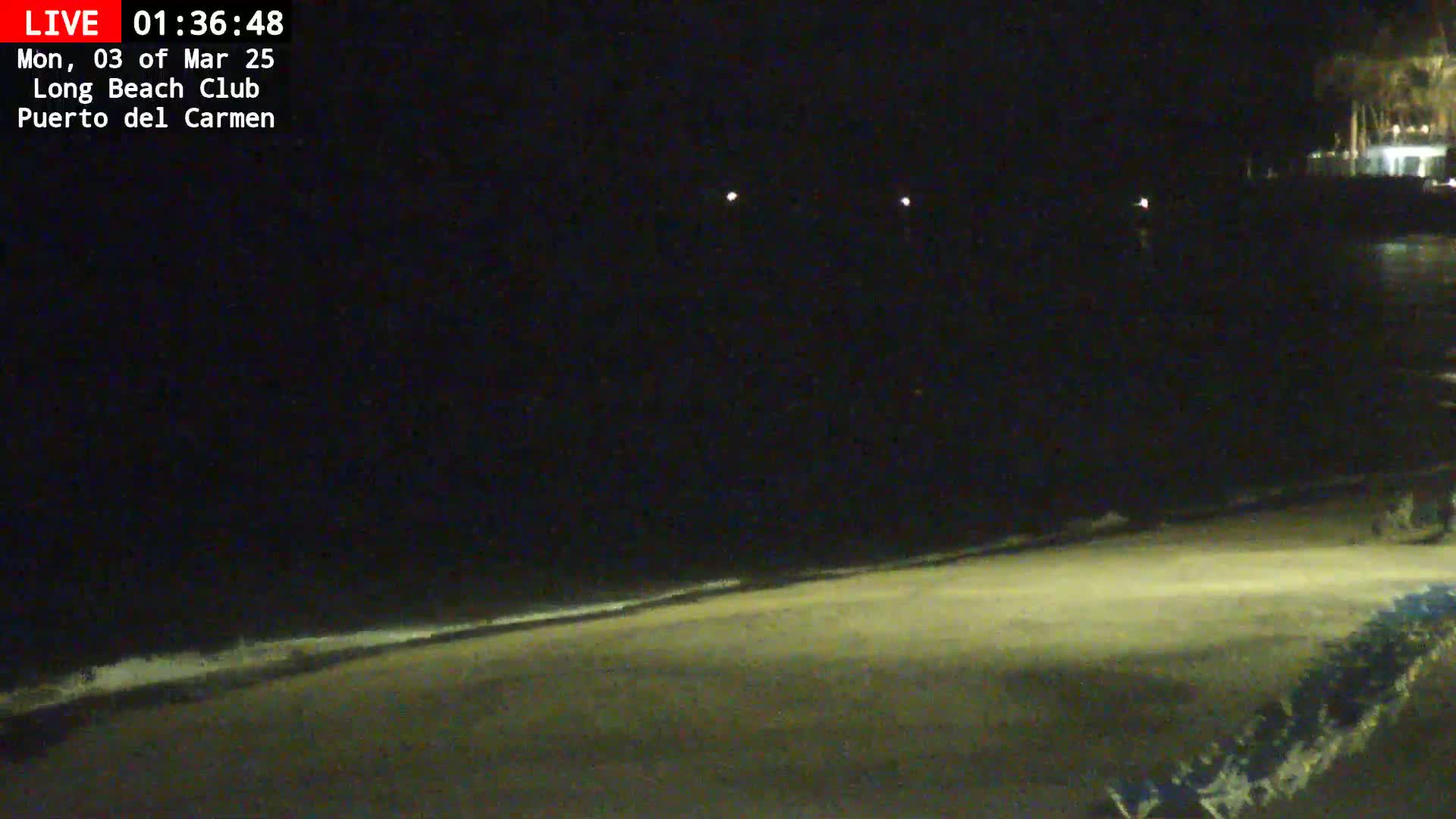 A dark, nighttime beach scene shows a sandy shoreline with gentle waves lapping at the edge under a clear, starlit sky.