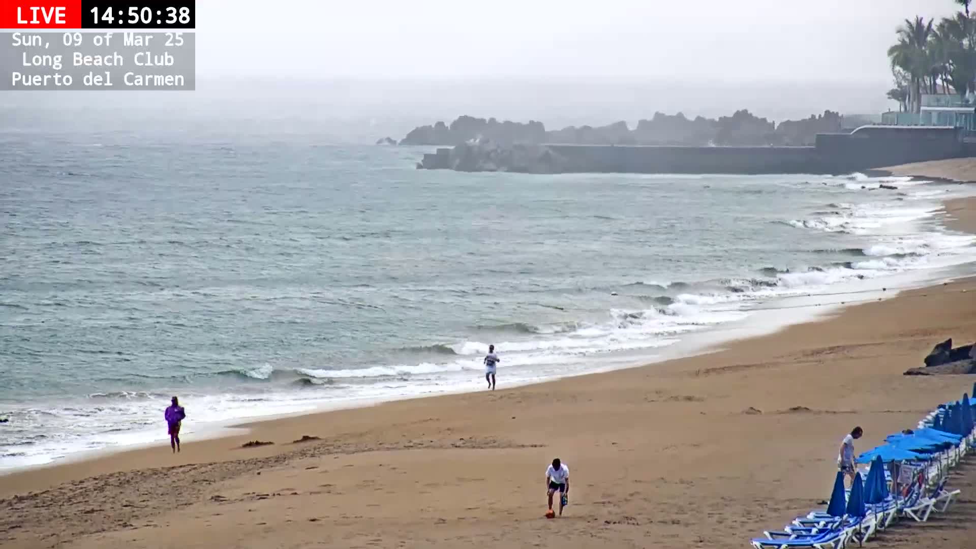 A hazy beach scene shows a sandy shore with gentle waves, a few people walking, and rows of empty beach chairs under umbrellas.
