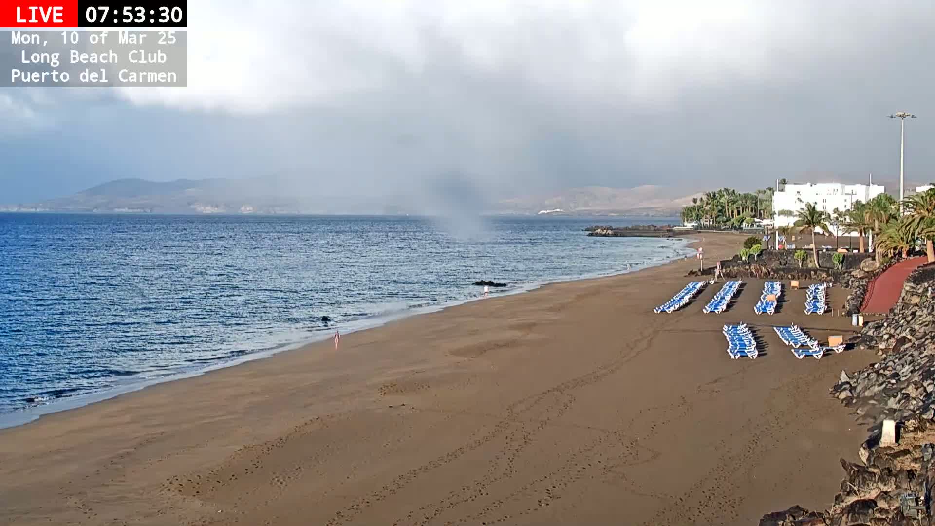 A sandy beach with rows of empty lounge chairs is seen next to a calm ocean under an overcast sky.