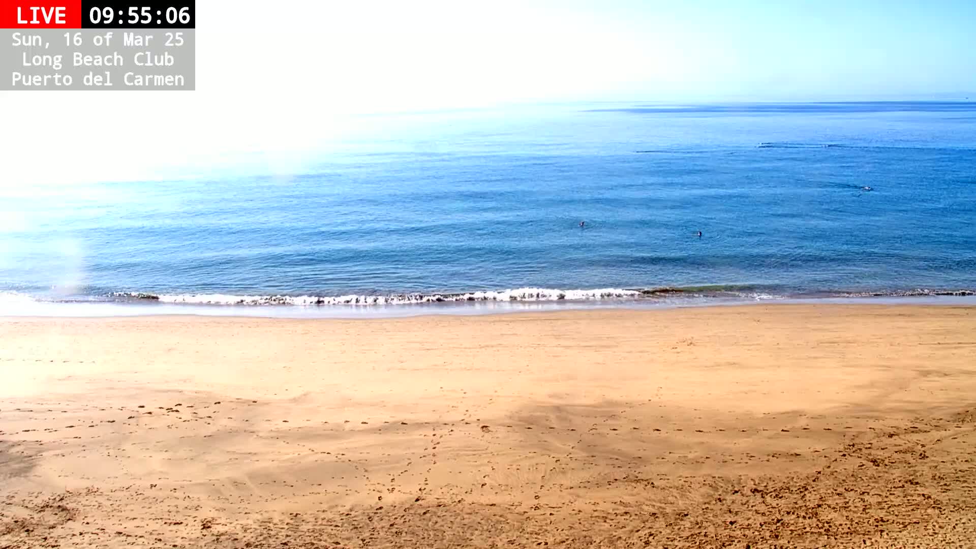 A sandy beach meets a calm, blue ocean under a clear sky.