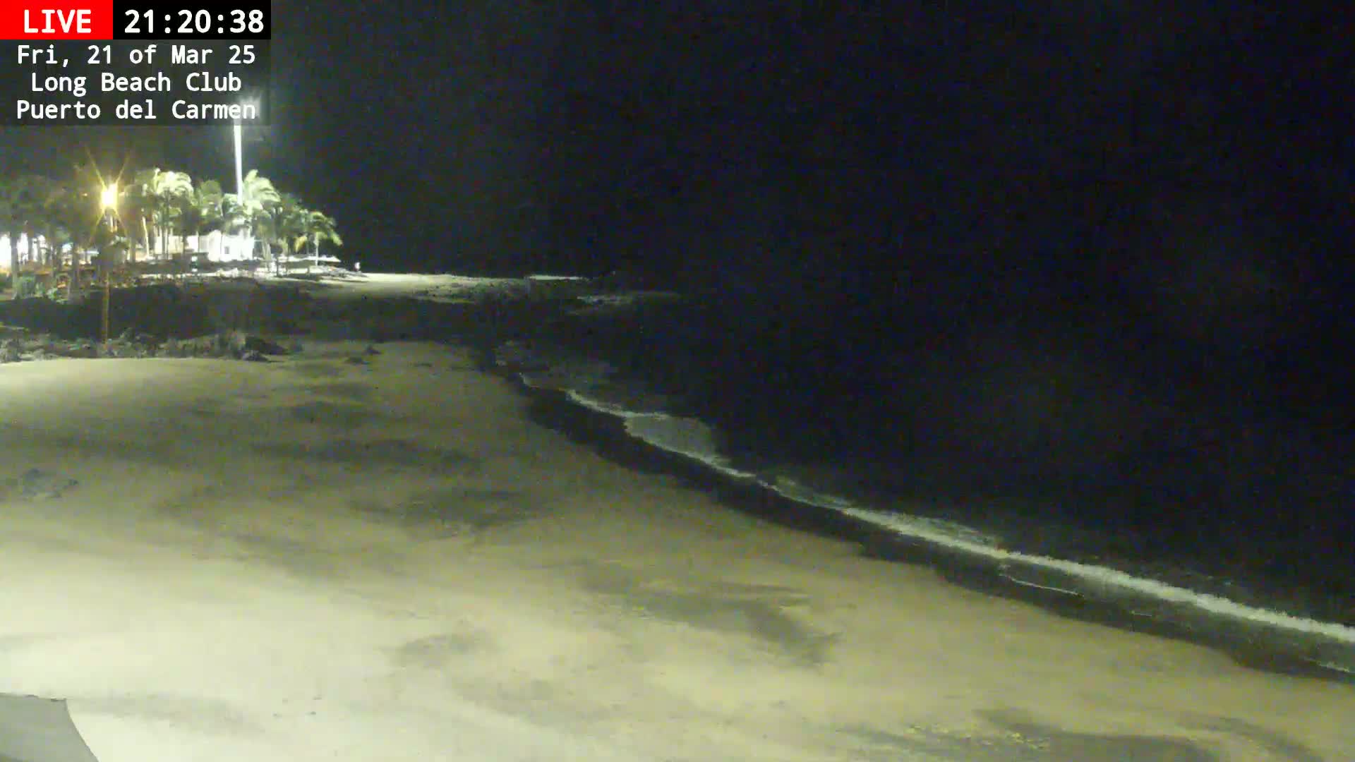 A nighttime view of a sandy beach with a dark ocean, gentle waves, and palm trees illuminated in the background.