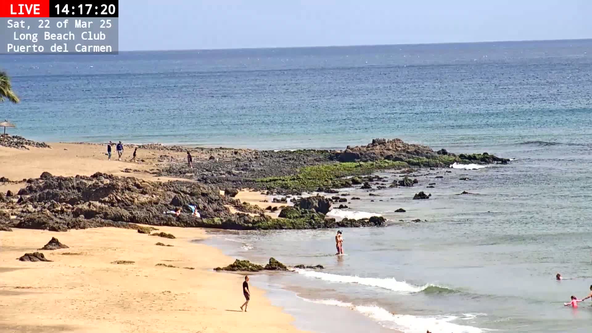 A sandy beach with dark rocks and patches of green algae meets a calm, light-blue ocean under a clear sky.