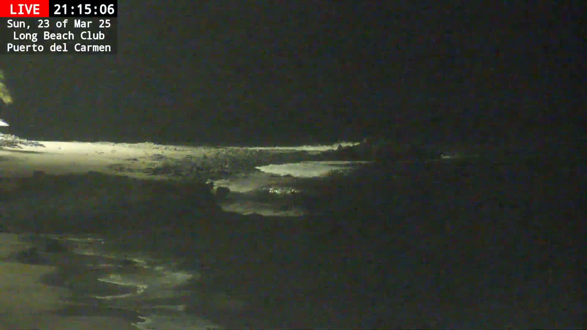 A dark nighttime scene shows a beach and ocean with gently lapping waves.