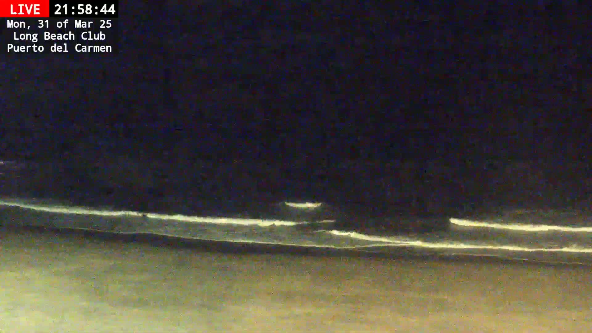 Under a dark night sky, gentle waves break on a sandy beach.