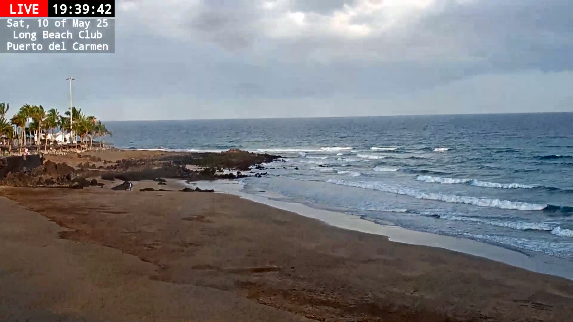 A sandy beach with palm trees and dark rocks meets a calm ocean under an overcast sky.