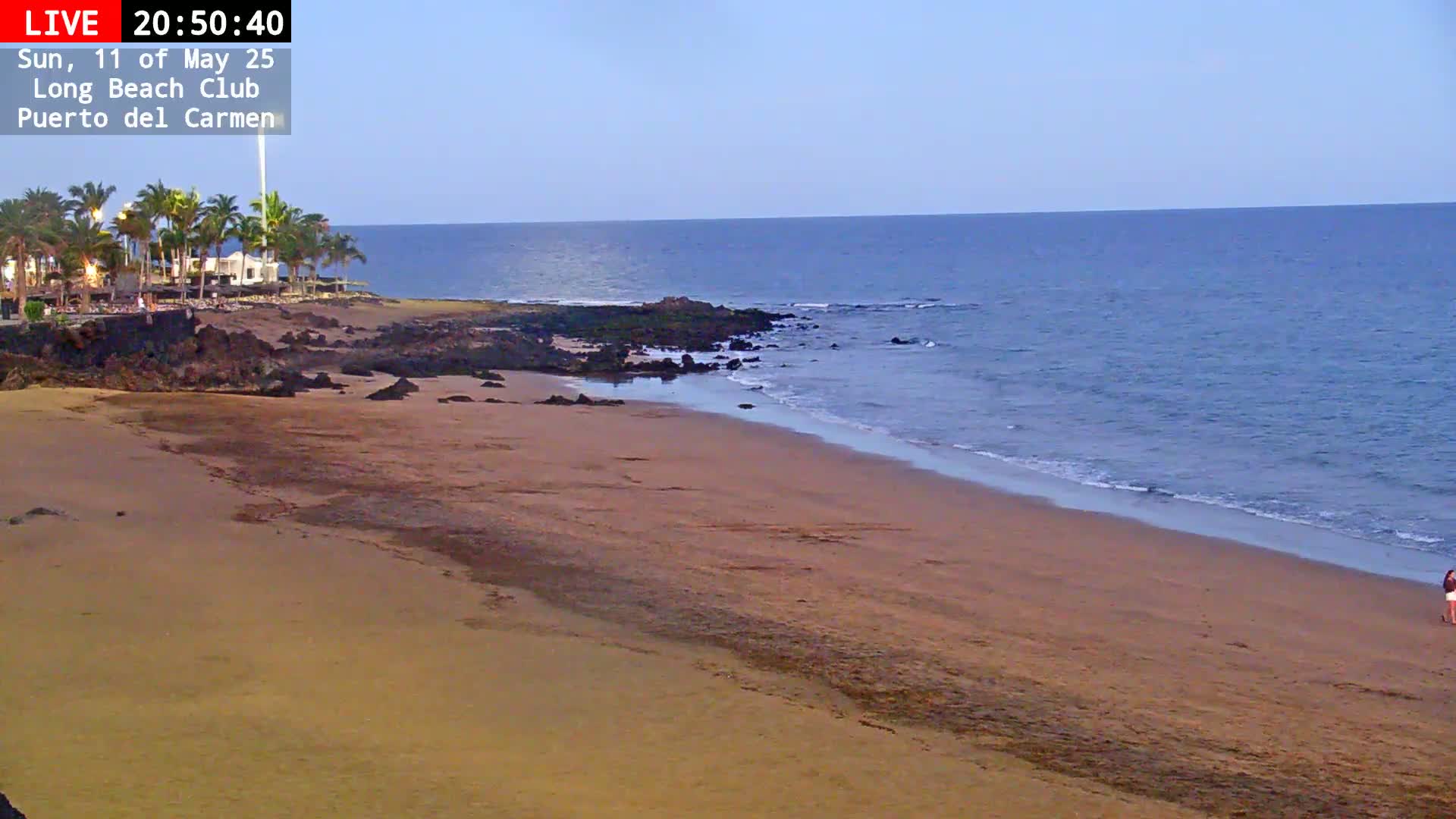 A sandy beach at twilight, with calm ocean waves lapping the shore, palm trees in the background.