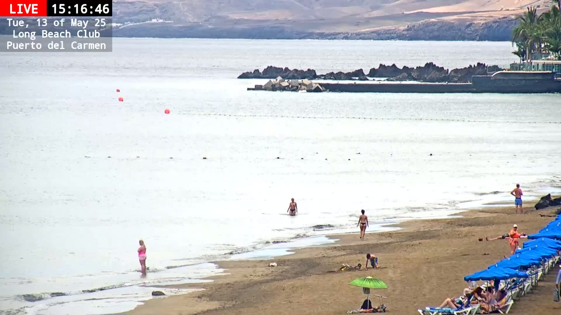 A sandy beach with a calm ocean, several people swimming and sunbathing, and rows of blue beach umbrellas.
