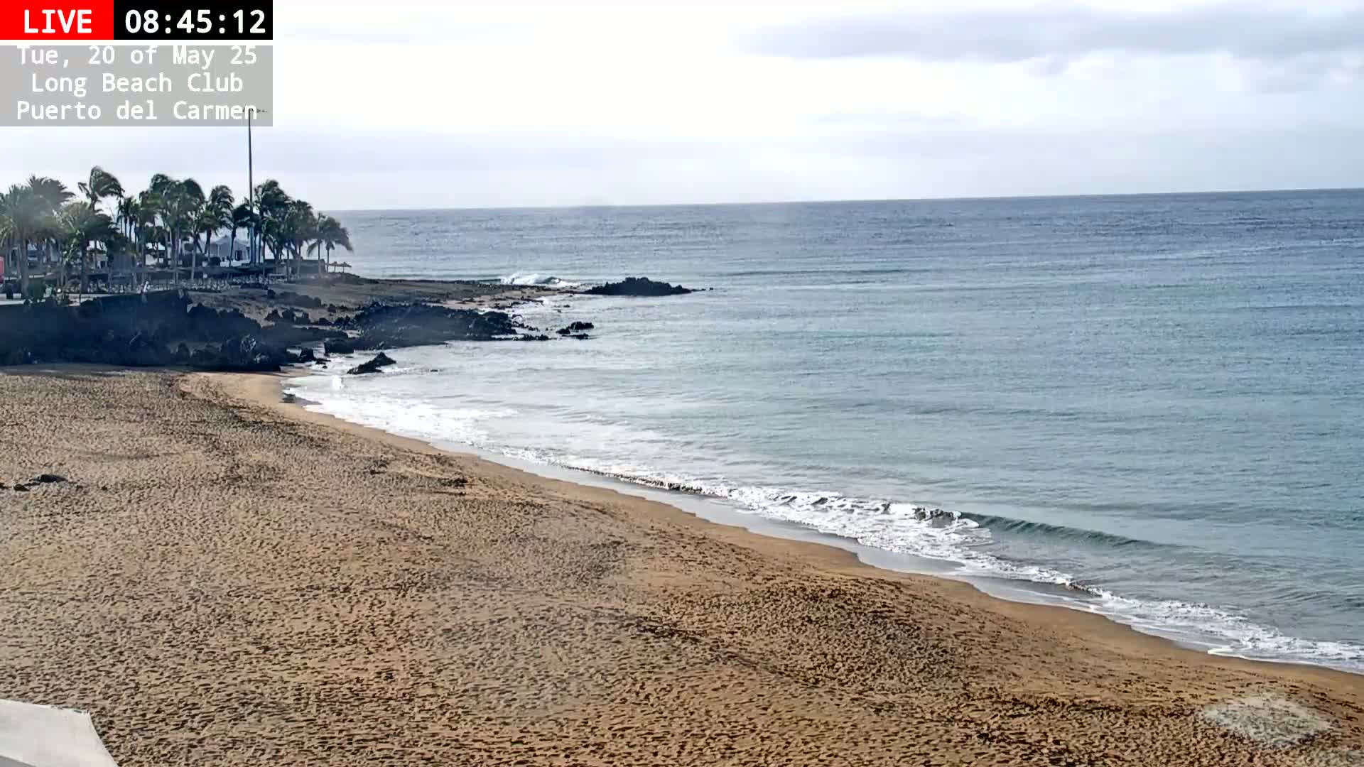 A sandy beach with palm trees and calm, light-blue ocean under a cloudy sky.
