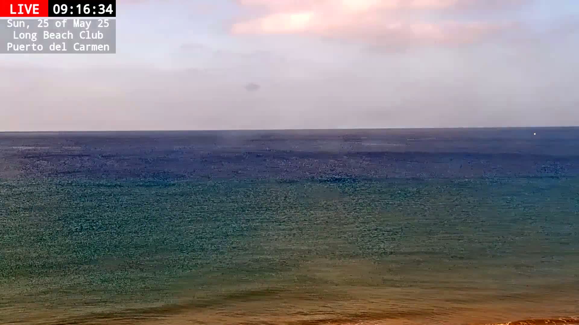 A calm ocean with a pale sky showing hints of pink and purple near the horizon.