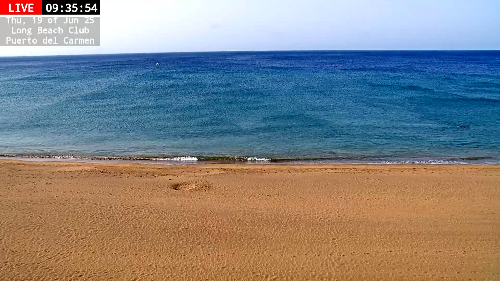A sandy beach meets a calm, blue ocean under a clear sky.