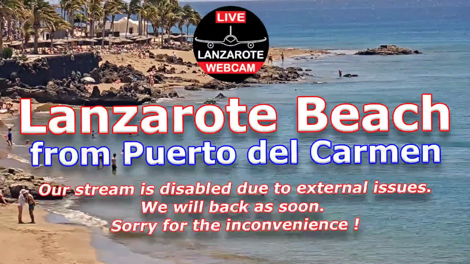 A vibrant beach scene on a sunny day features numerous people enjoying the clear blue water and sandy shore, dotted with dark rocks and backed by palm trees and distant white buildings.