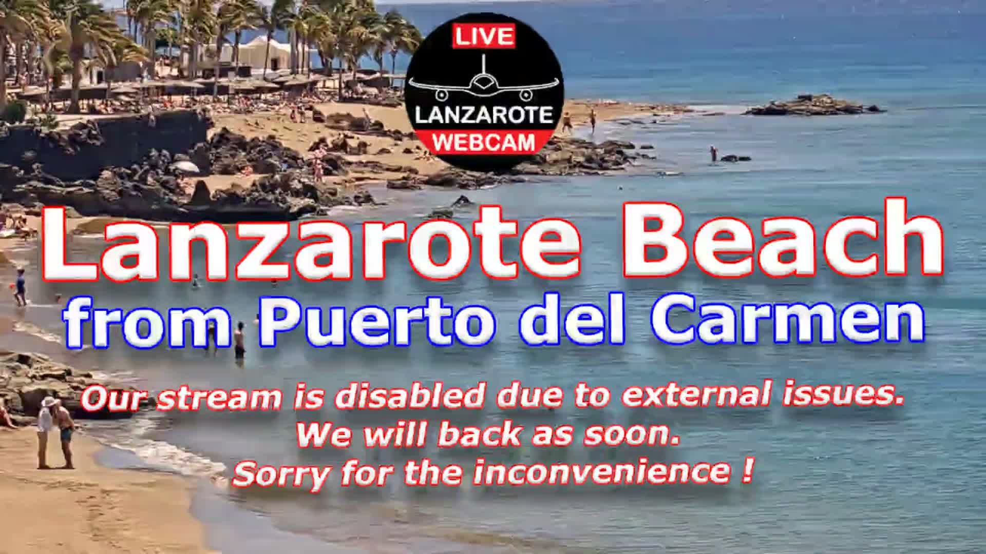 A bustling beach with people swimming and relaxing on the sand, backed by palm trees and rocky formations, under a clear, sunny sky.