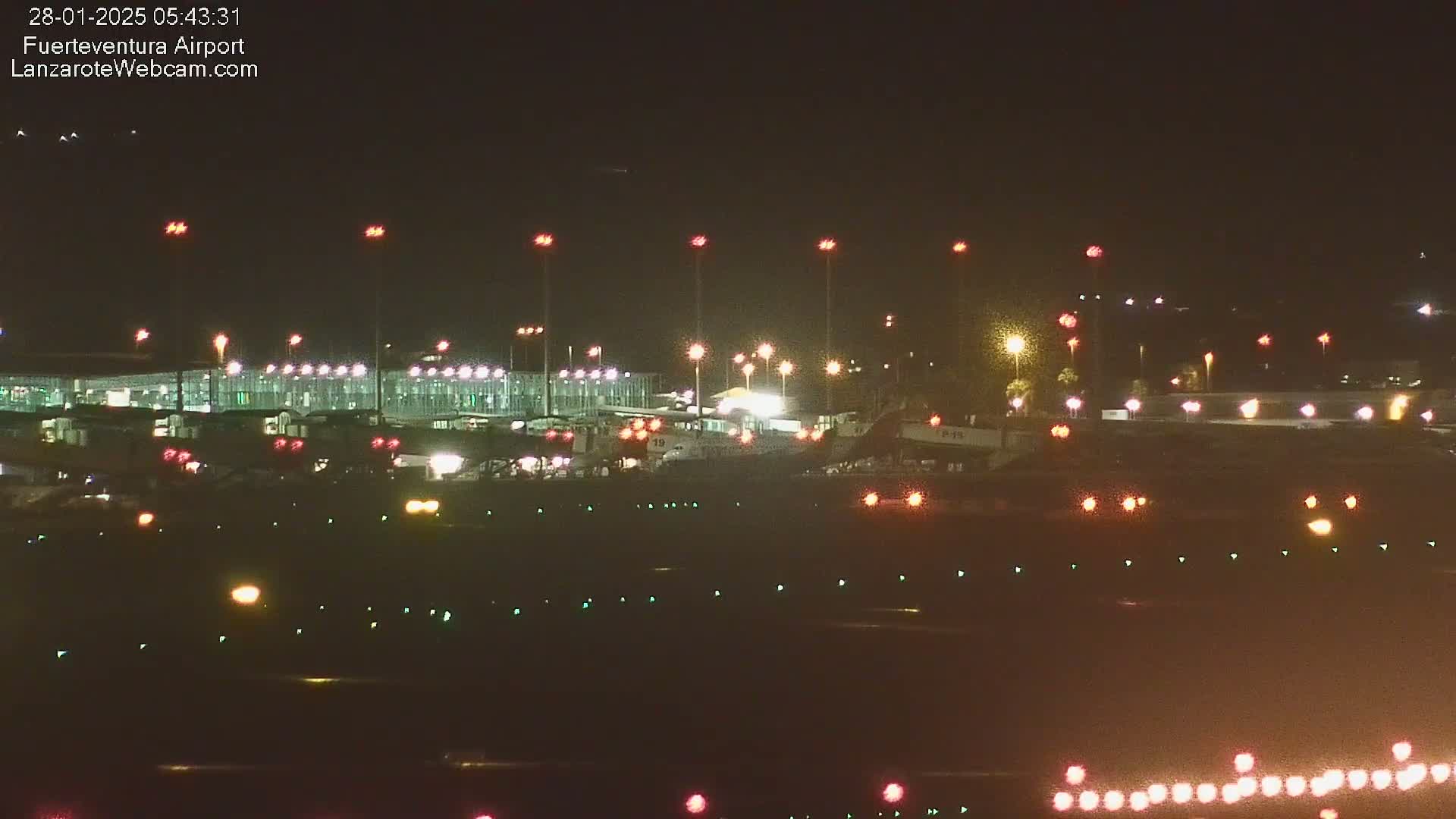 A nighttime view of an airport tarmac with several airplanes parked near brightly lit gates under a clear, dark sky.