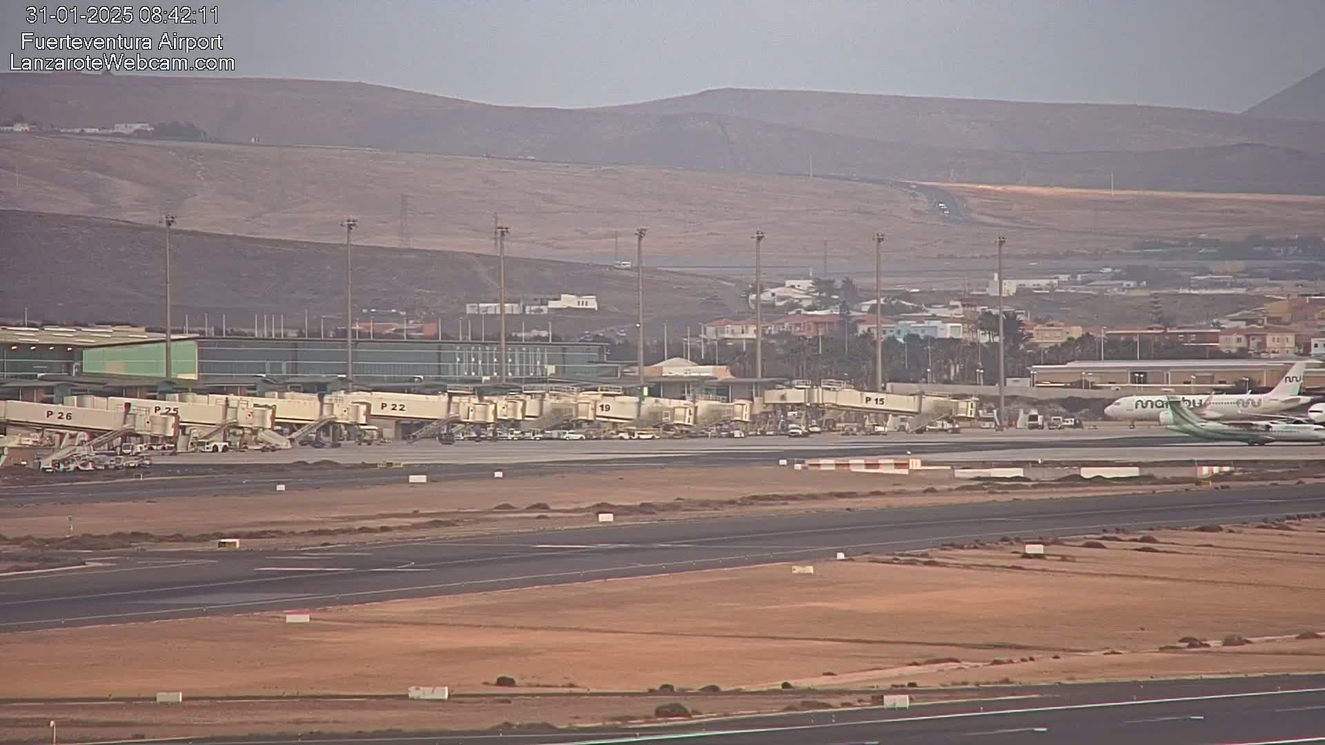 An airport tarmac with several airplanes and jet bridges, backed by a hazy mountain range under an overcast sky.