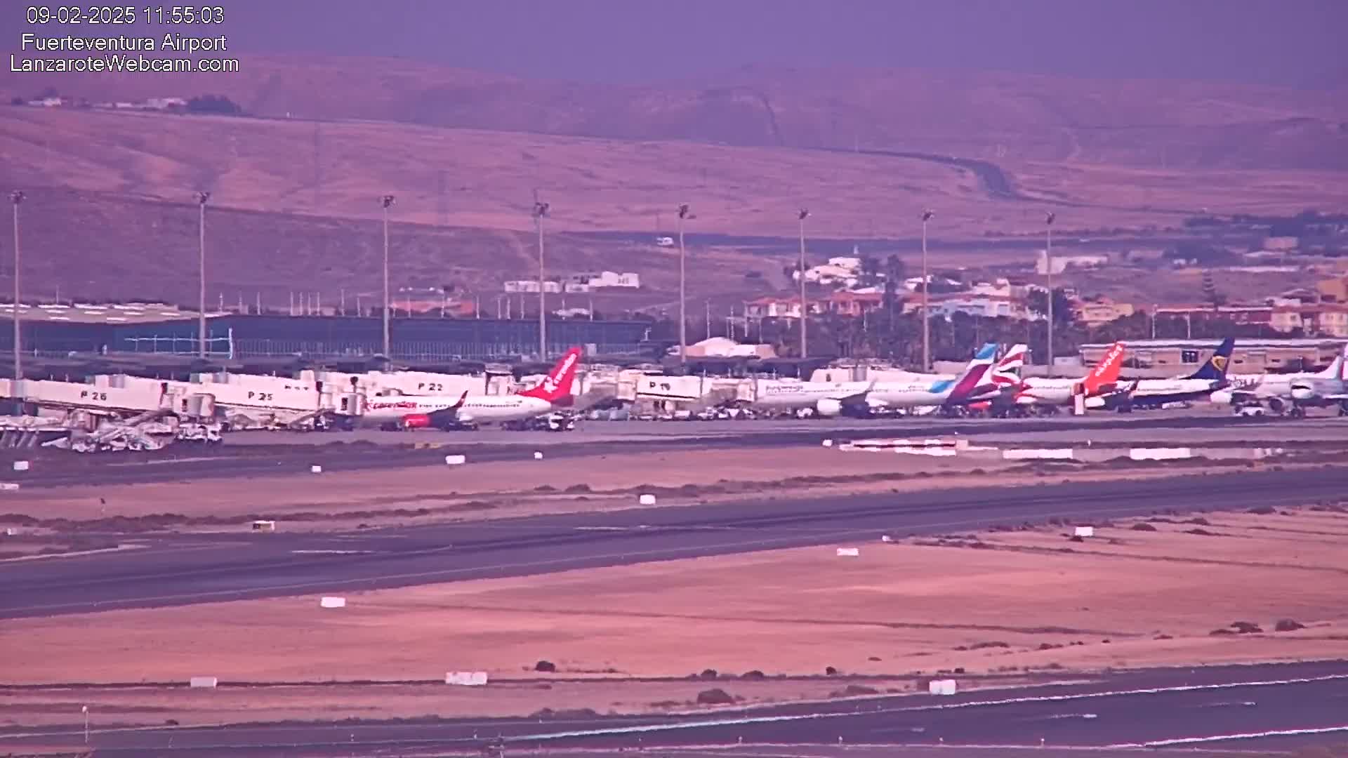 Several airplanes are parked at an airport tarmac under a hazy, purplish sky.