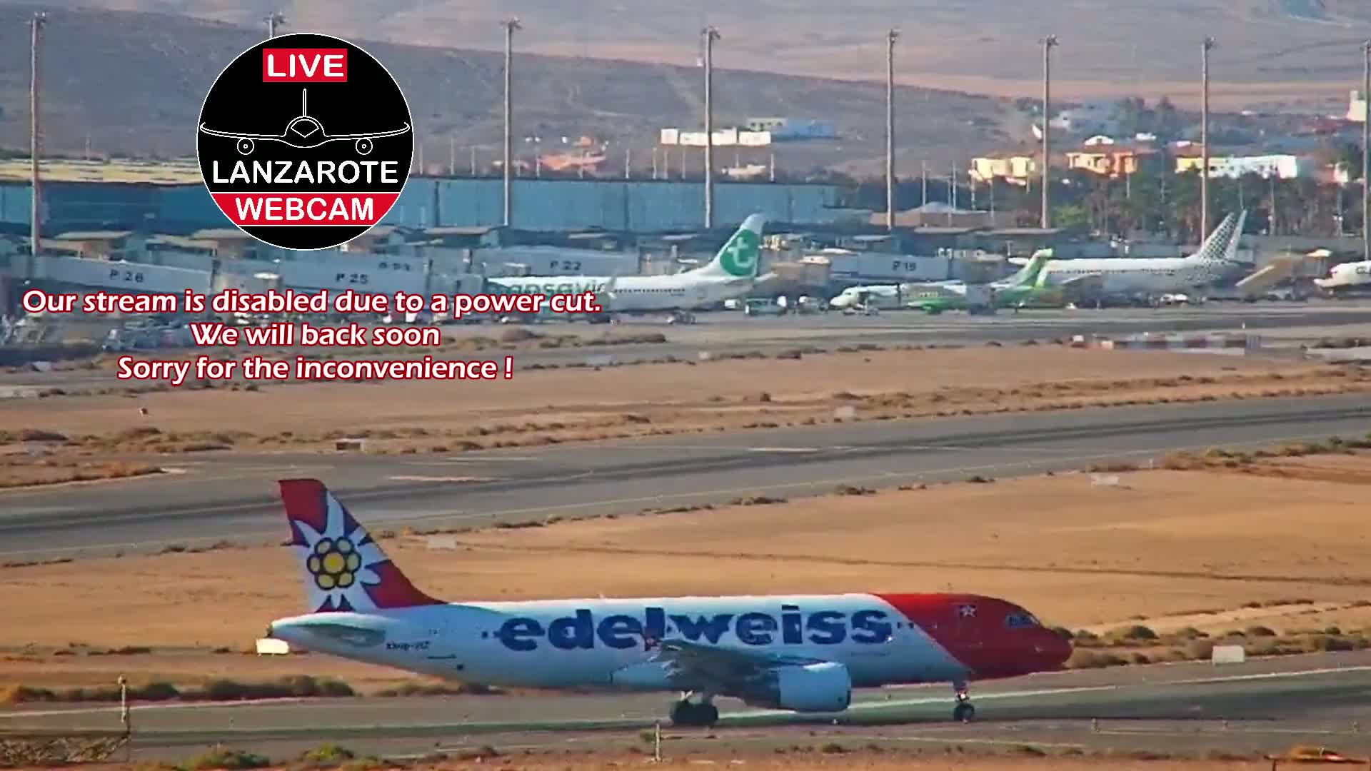 An Edelweiss Air plane taxis on a runway at an airport on a sunny day, with other planes visible in the background.