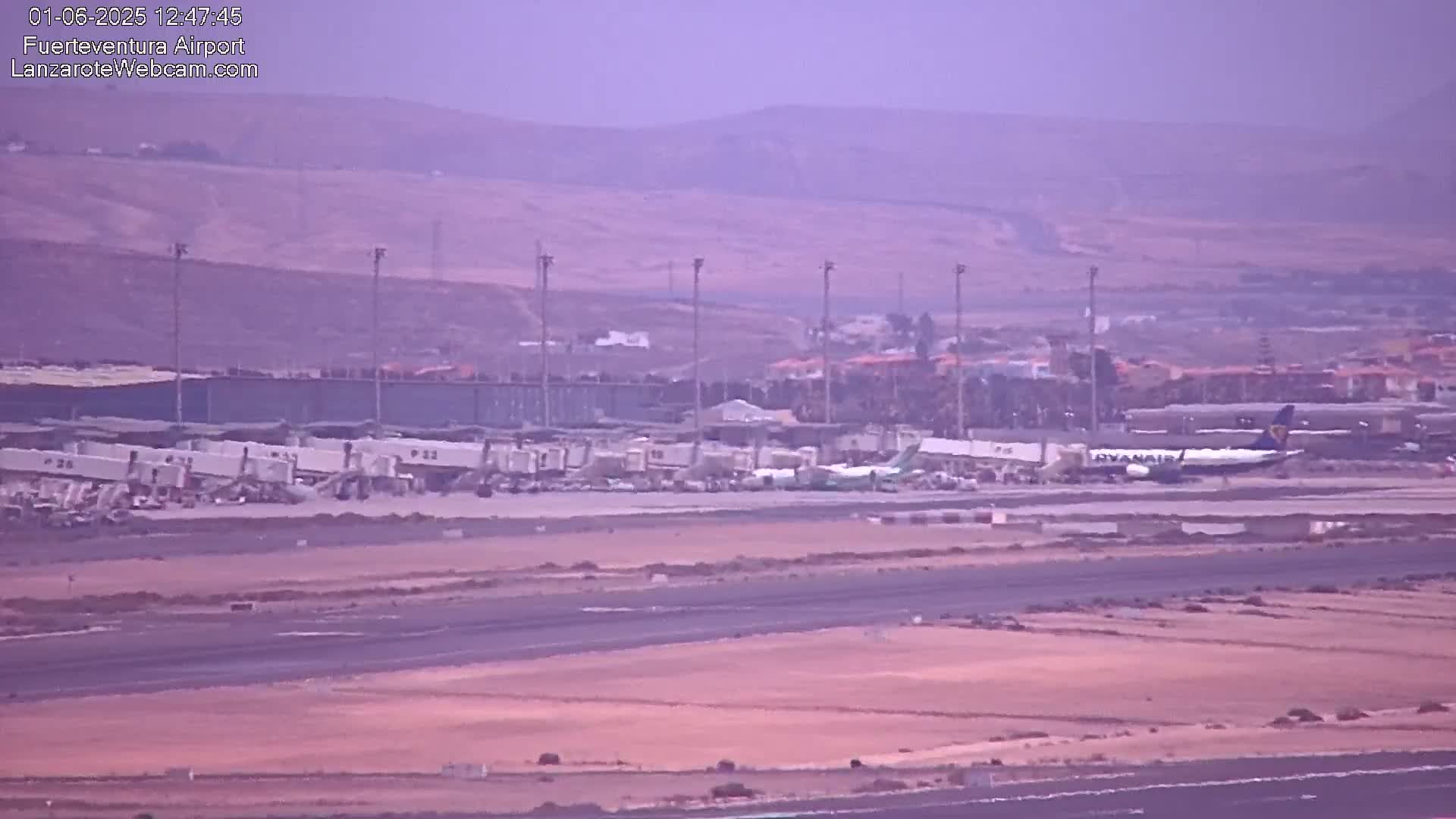 A hazy view of an airport tarmac shows several passenger planes and ground support vehicles under a hazy sky.