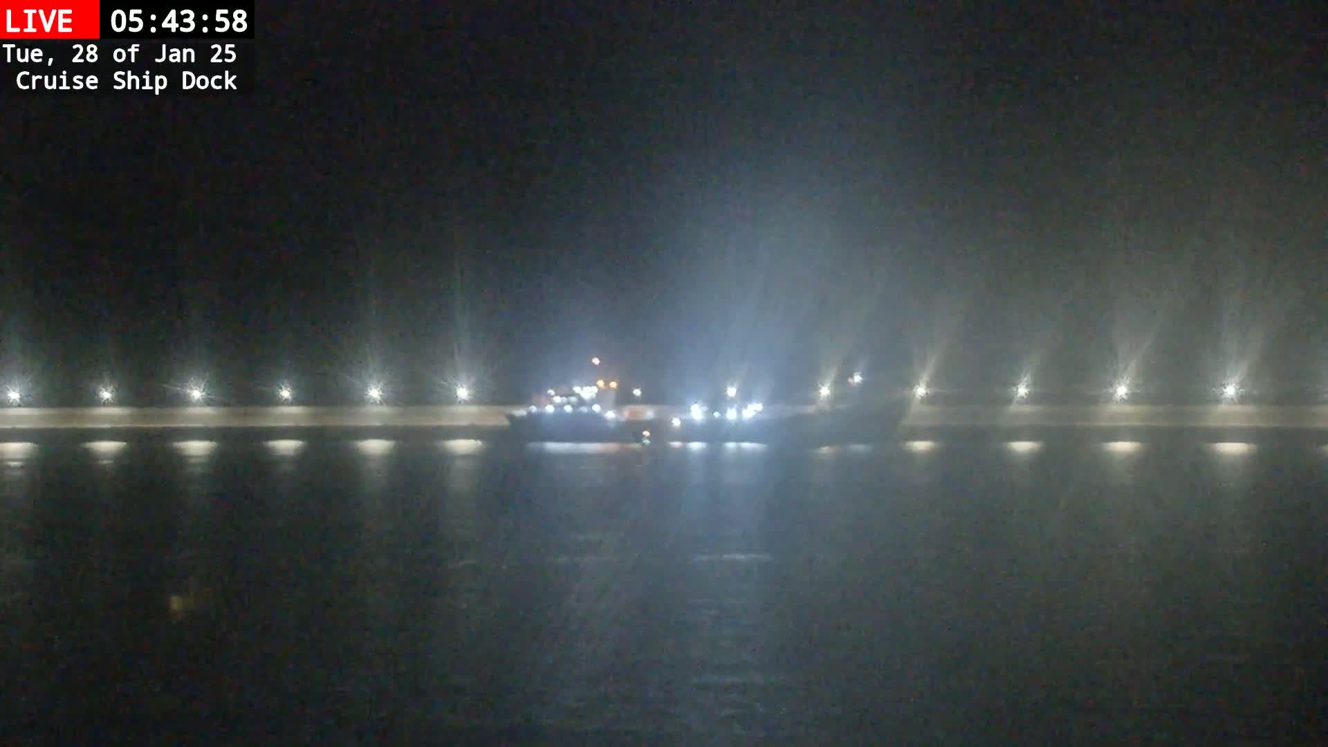 A large ship is docked at night in foggy conditions, illuminated by lights along a nearby wall.