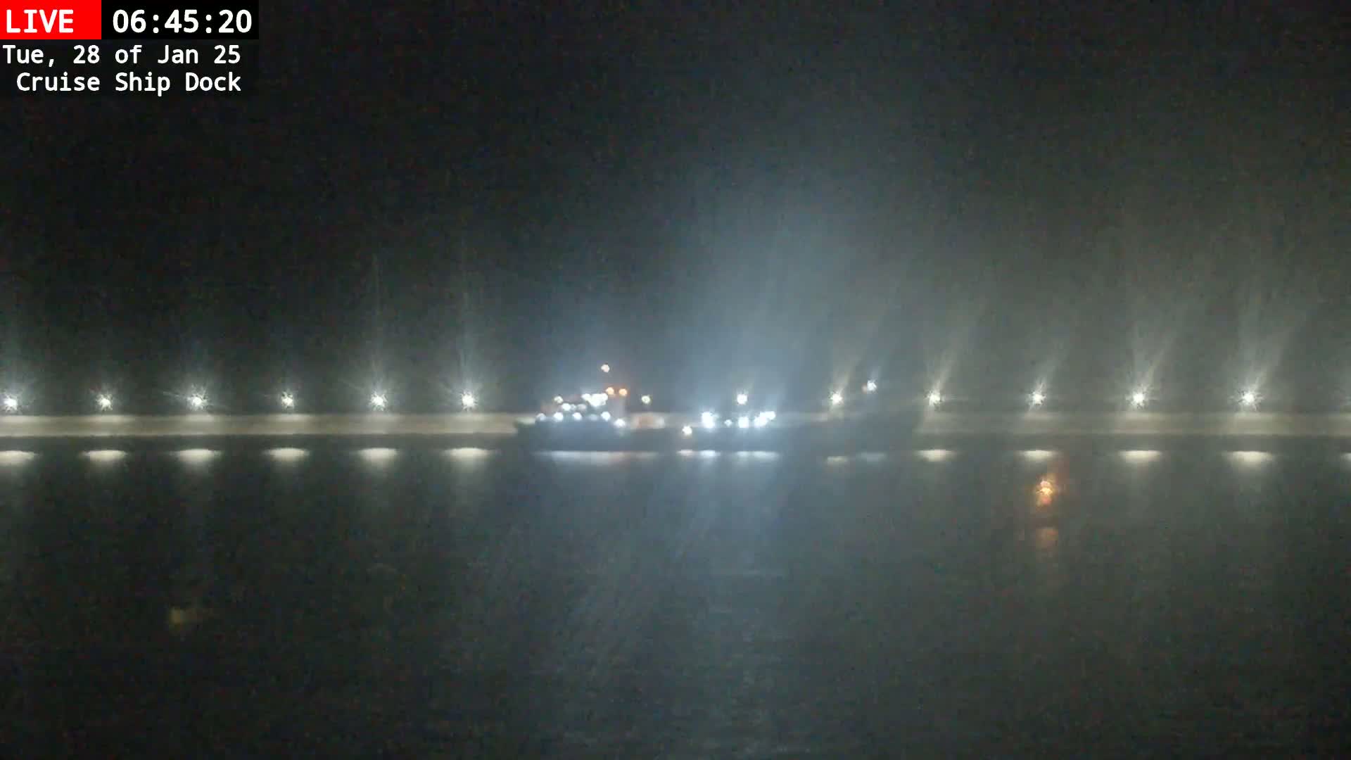 A cruise ship is docked at night in foggy conditions, illuminated by lights along a wall.