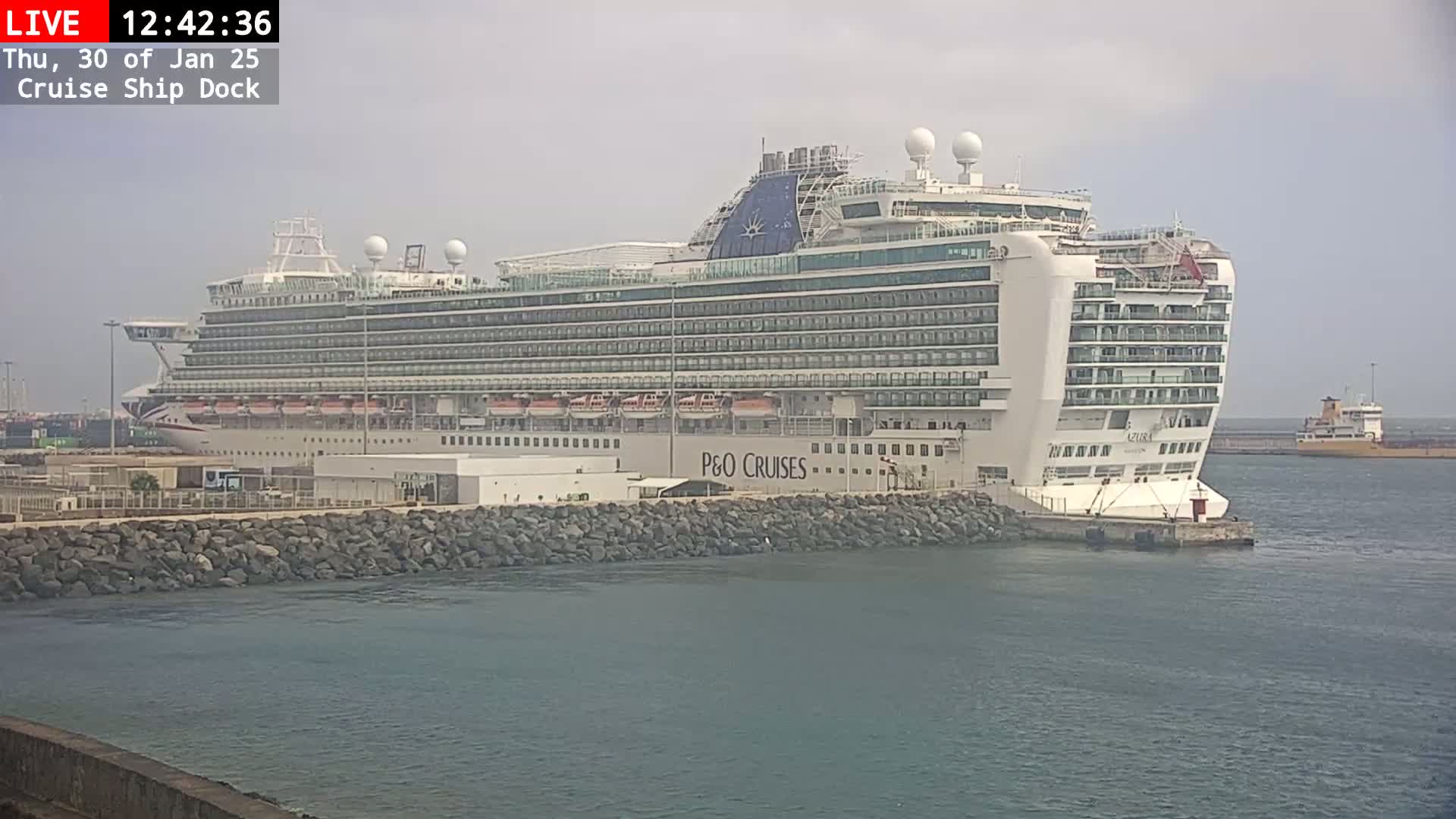 A large cruise ship is docked at a port on an overcast day.