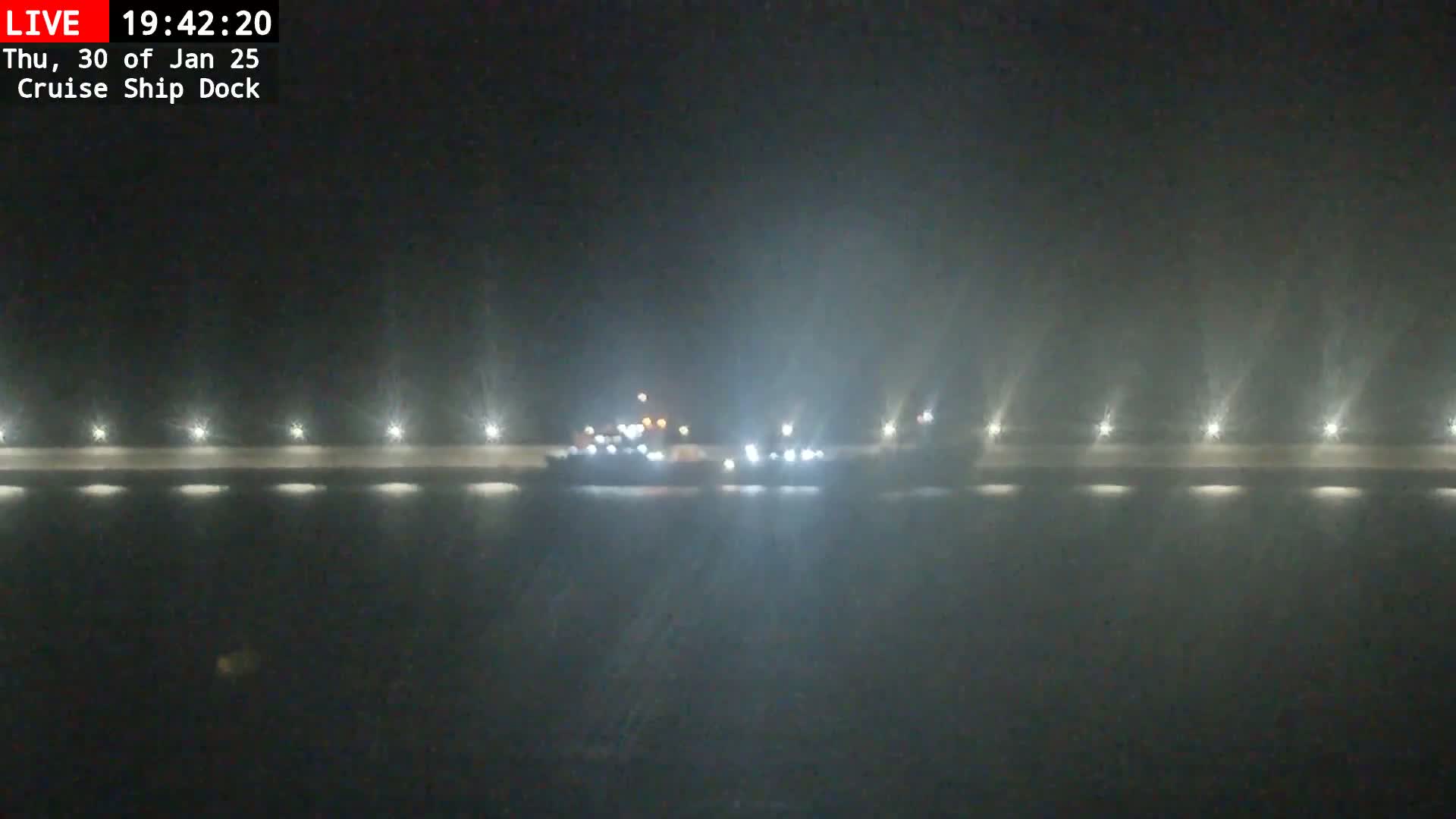 A ship is docked at night in foggy conditions, illuminated by lights along a pier.