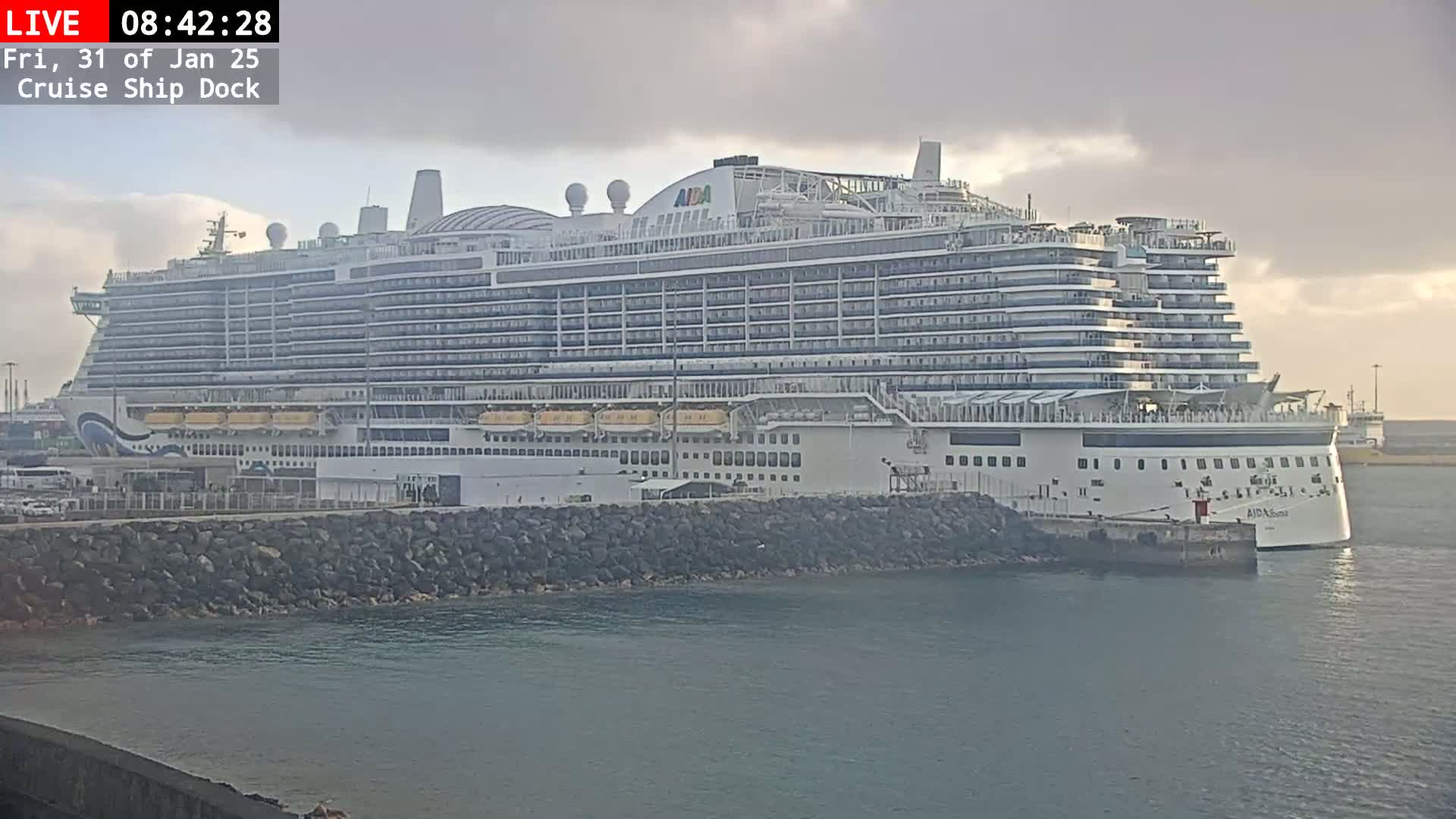 A large cruise ship is docked at a port on a cloudy day.
