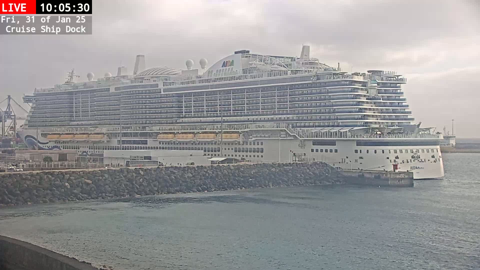 A large cruise ship is docked at a port on an overcast day.