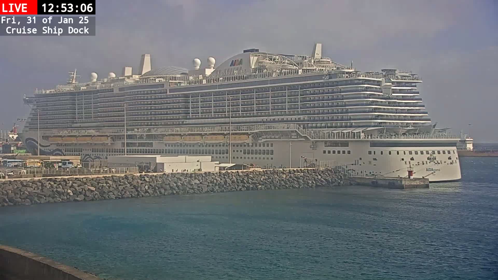 A large cruise ship is docked at a port on a hazy day.