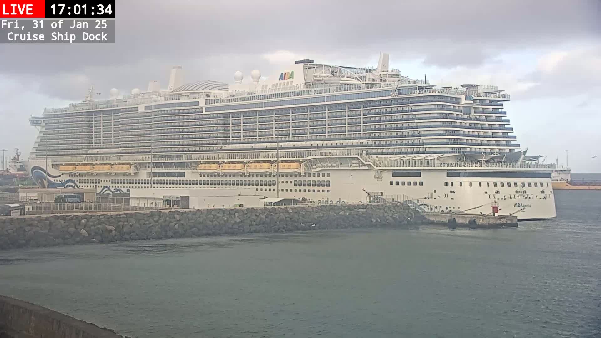 A large cruise ship is docked at a port on an overcast day.