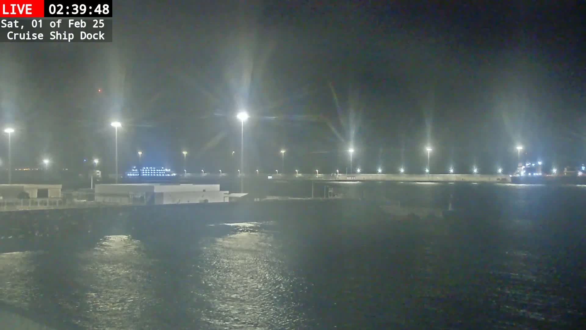 A cruise ship is docked at night in hazy conditions, illuminated by numerous lights along the dock.