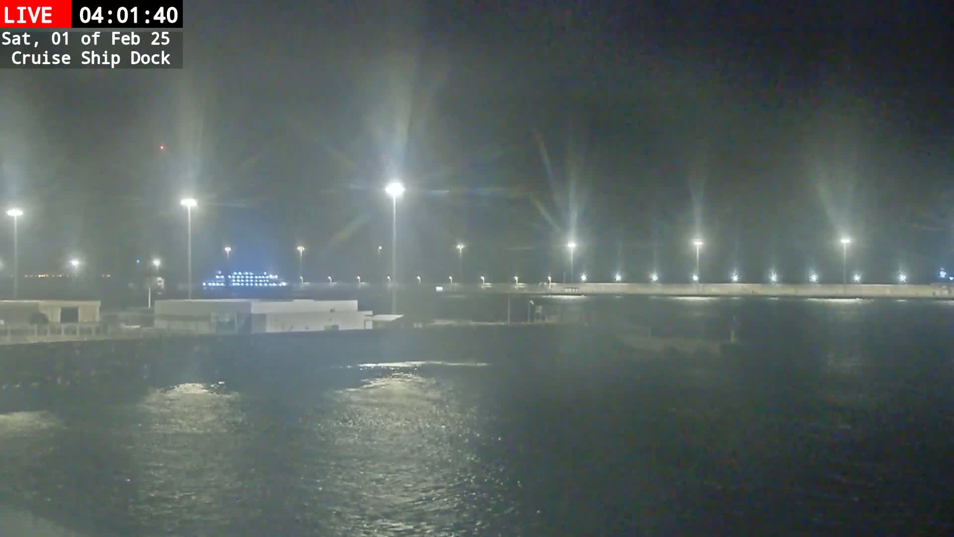 A cruise ship is docked at night in hazy or foggy conditions, illuminated by lights along a pier.
