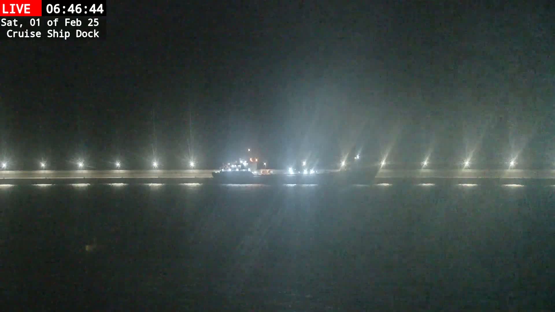 A large vessel is docked at a nighttime pier in foggy conditions.