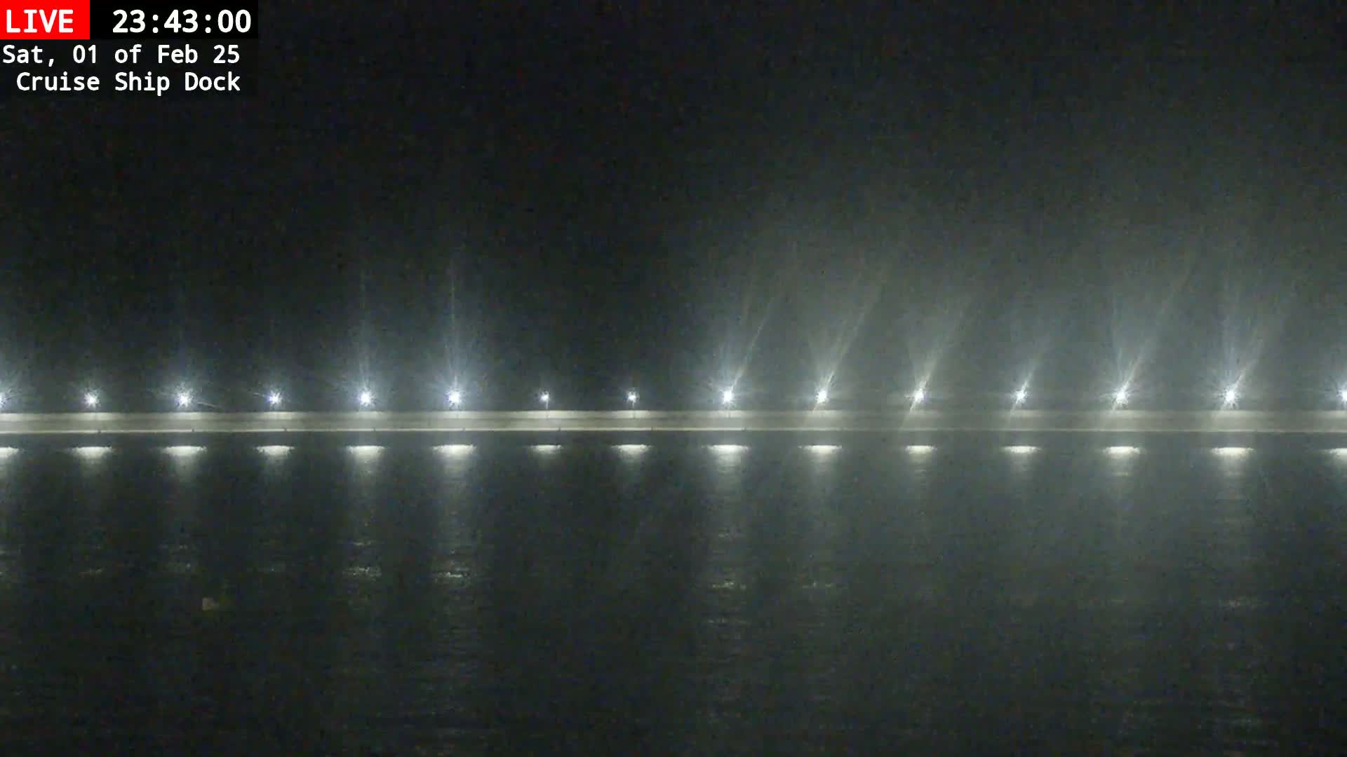 A brightly lit dock extends across a dark, nighttime body of water in snowy or misty conditions.