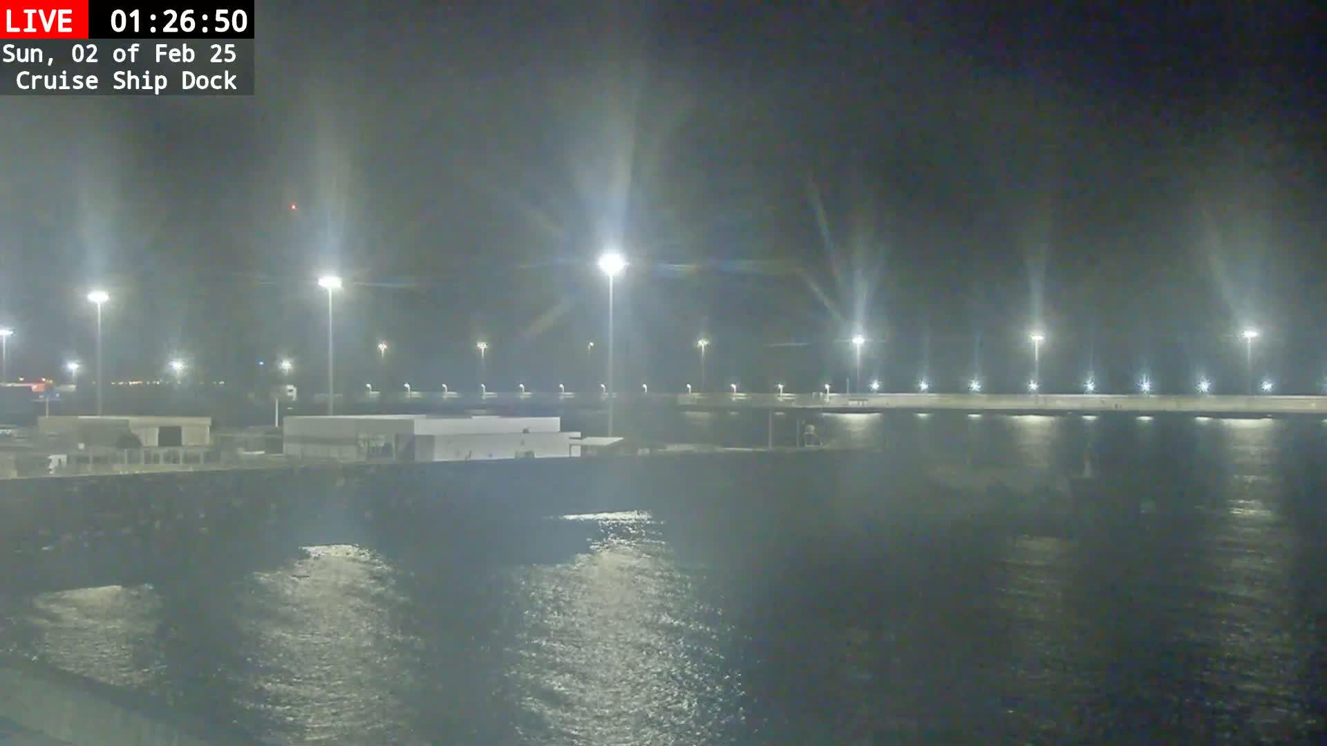 A nighttime view of a cruise ship dock illuminated by tall lights, with dark, slightly choppy water in the foreground.