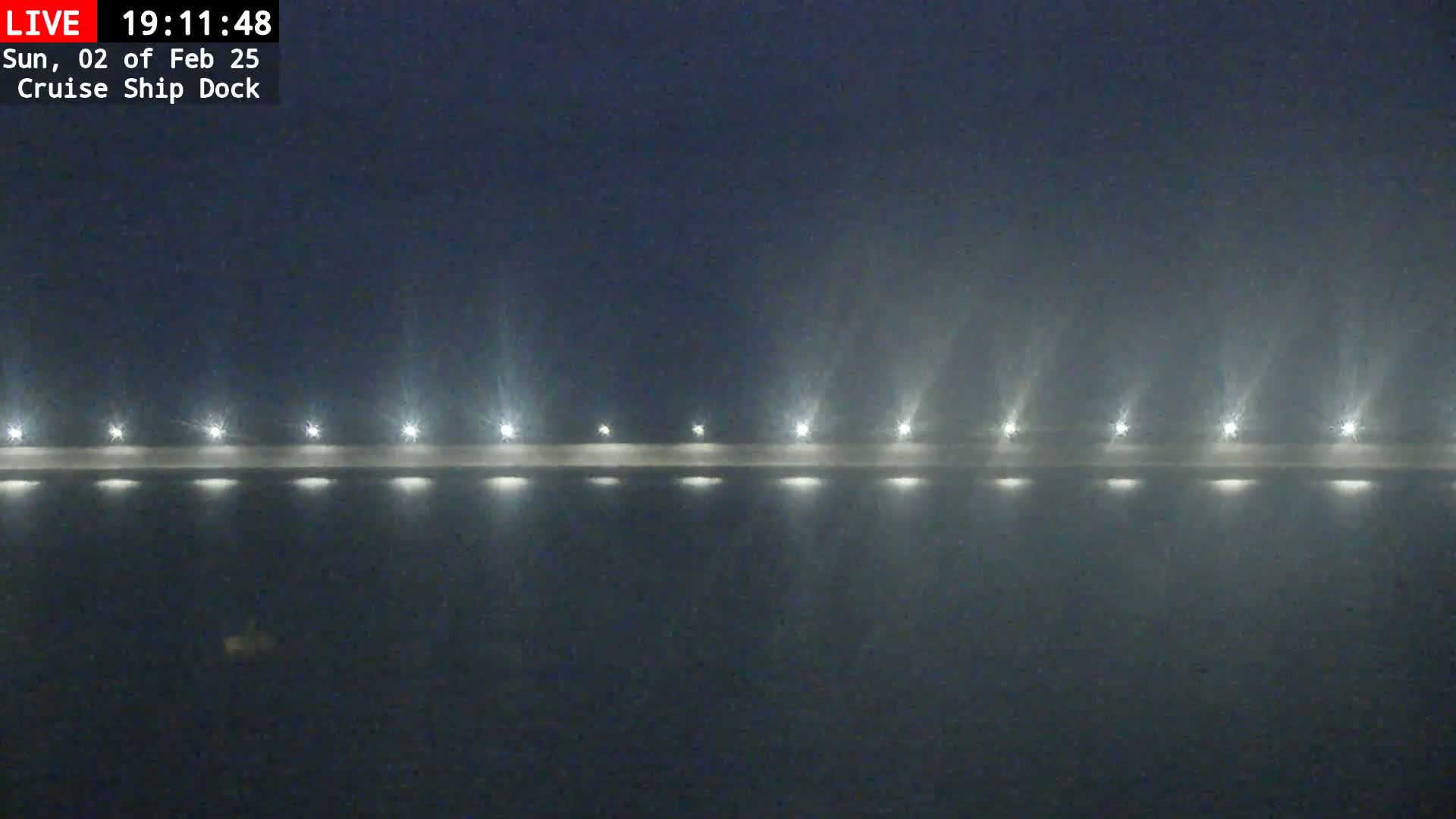 A long row of lights illuminates a foggy nighttime dock.