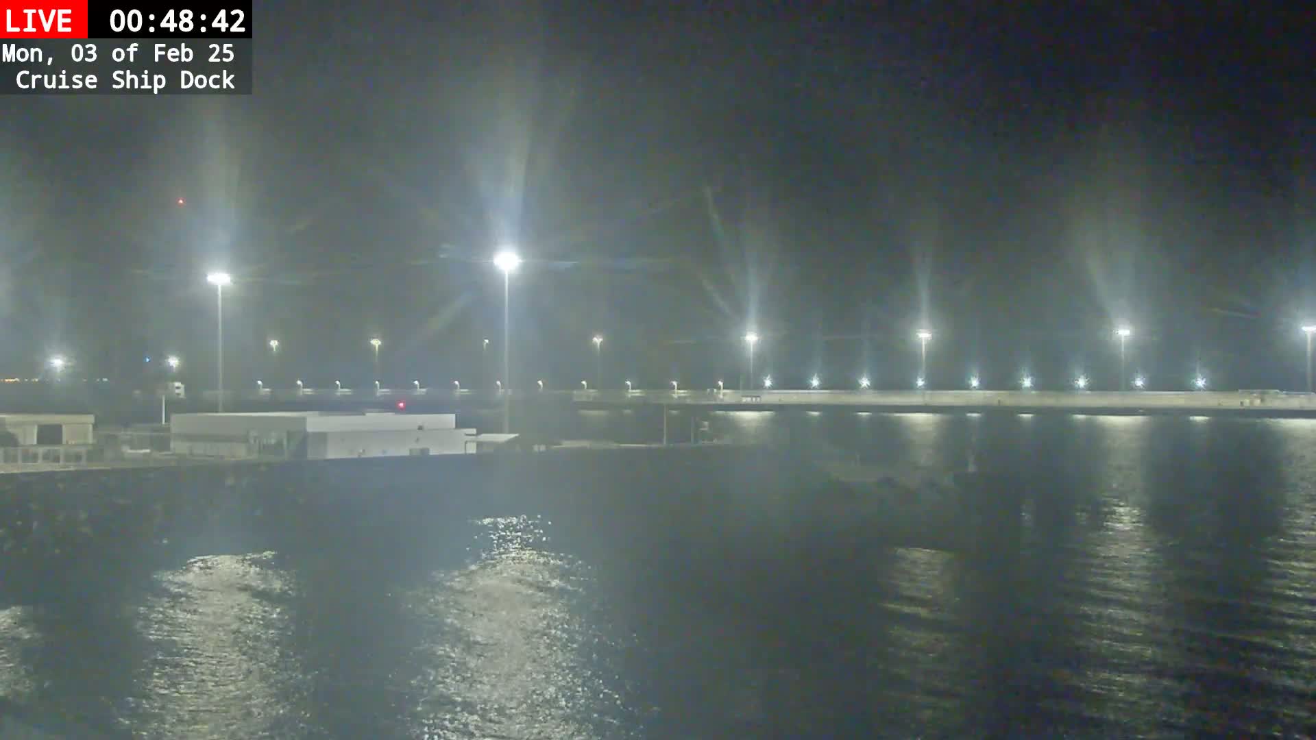A nighttime view of a cruise ship dock illuminated by many bright lights, with calm water reflecting the lights.