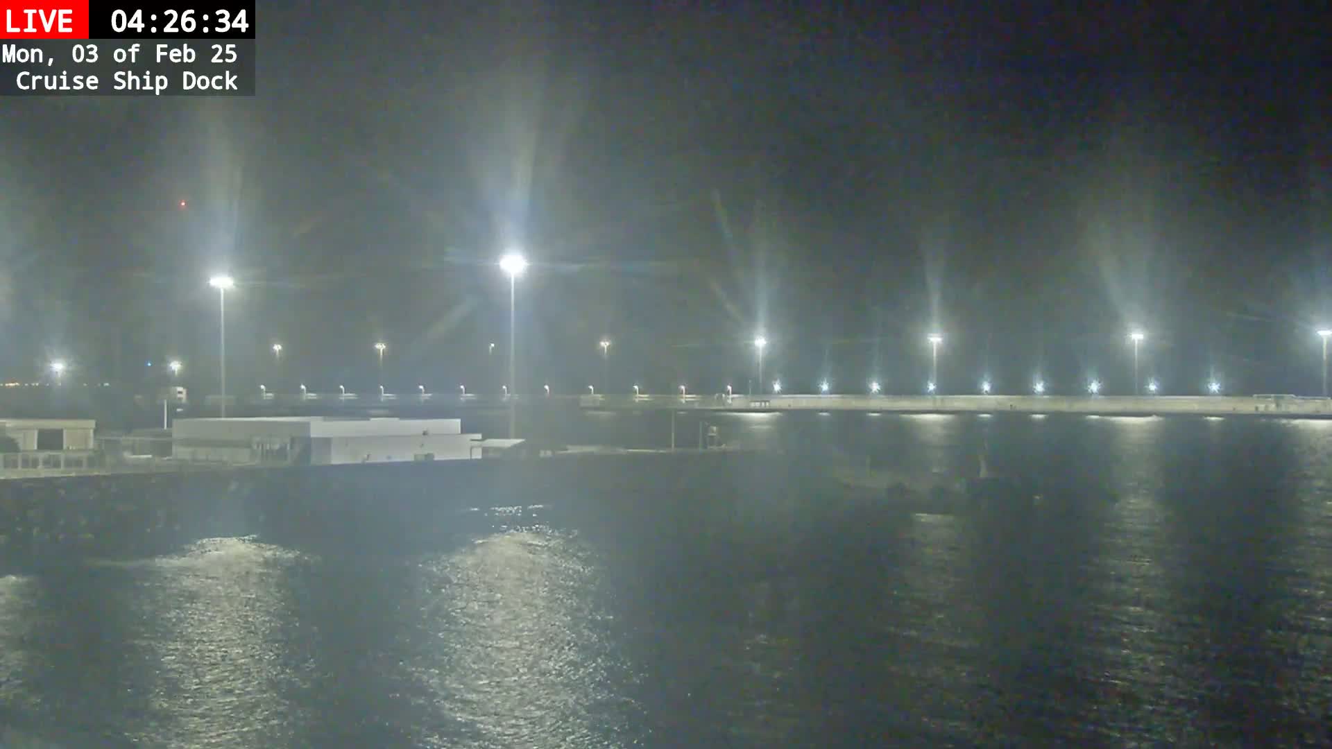 A nighttime view of a cruise ship dock illuminated by many tall lights, with somewhat choppy water in the foreground.