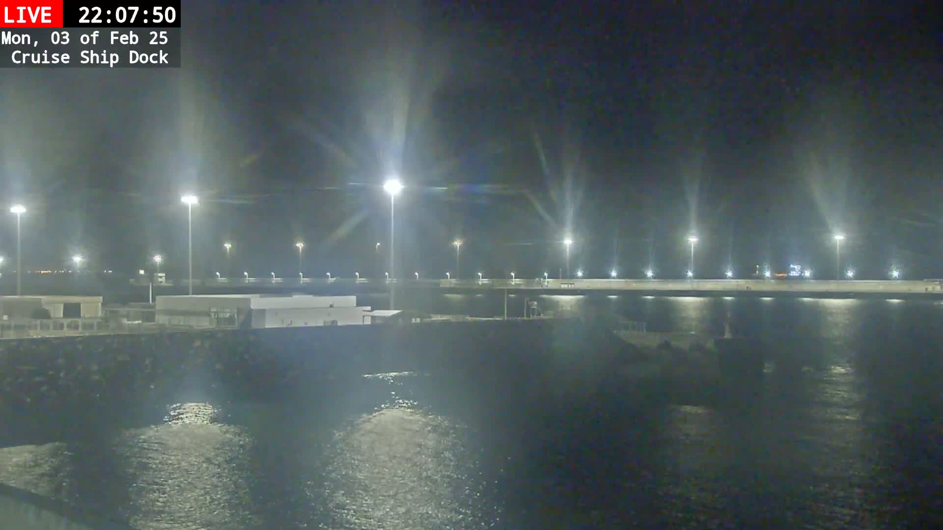 A nighttime view of a cruise ship dock illuminated by numerous tall lights, with calm water visible in the foreground.