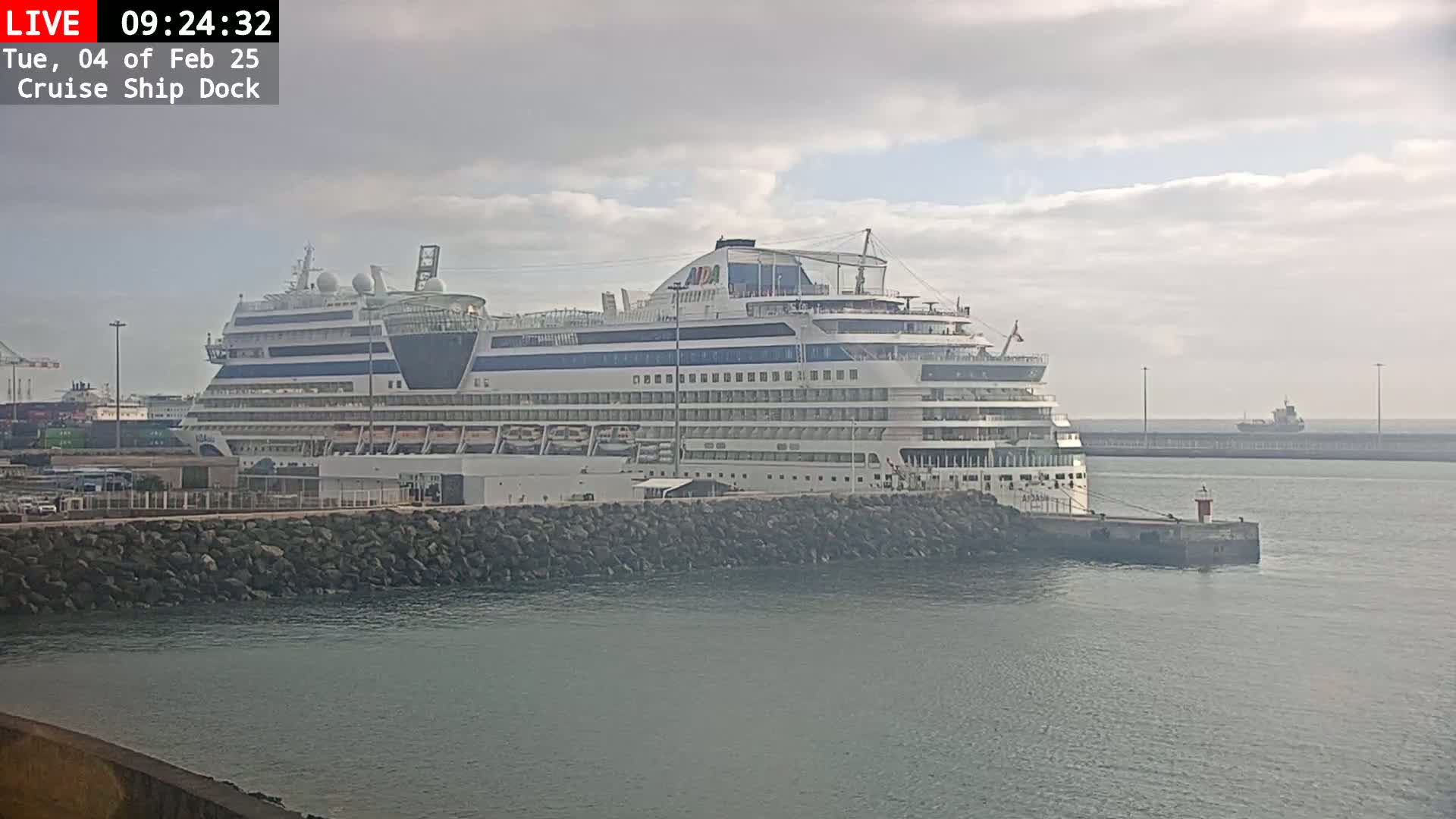 A large cruise ship is docked at a port on an overcast day.