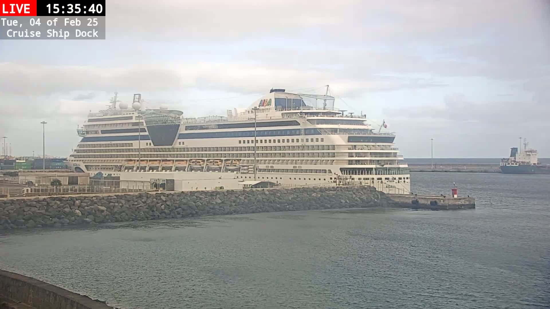 A large cruise ship is docked at a port on an overcast day, with another smaller vessel visible in the distance.