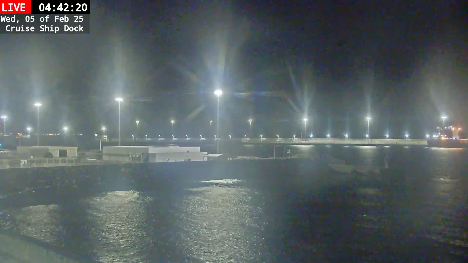 A nighttime view of a cruise ship dock illuminated by tall lights, with dark water slightly rippling in the foreground.