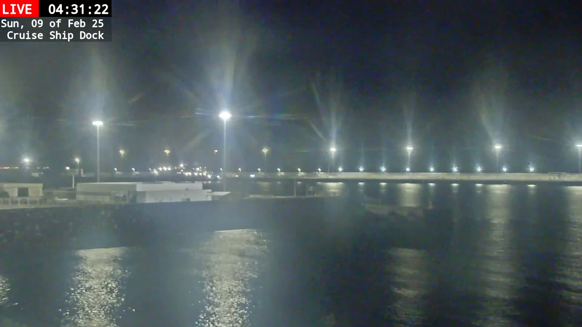 A nighttime view of a cruise ship dock illuminated by numerous lights, with calm water visible in the foreground.